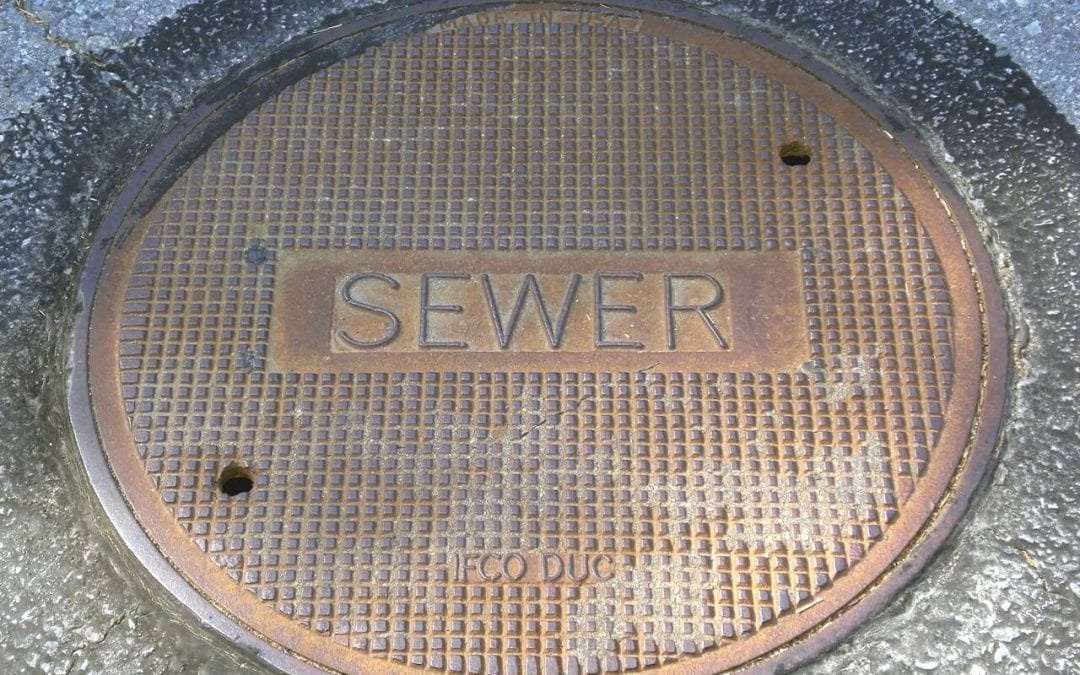 order a sewer scope inspection for an understanding of your main drainage line